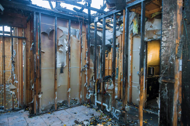 Professional Fire Damage Repair technician working in Florida, FL