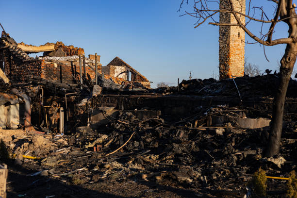 Reliable Fire Damage Repair contractor in Florida, FL by Fire Damage Doption