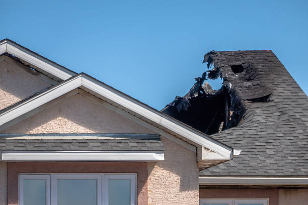 Top rated local Fire Damage Repair specialists in Florida, FL